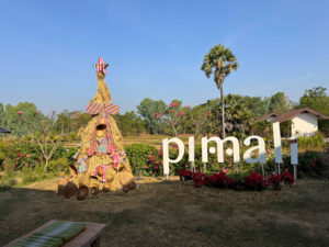 soutien association pimali effibat