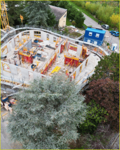 arbre devant une maison