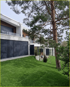 arbre devant une maison